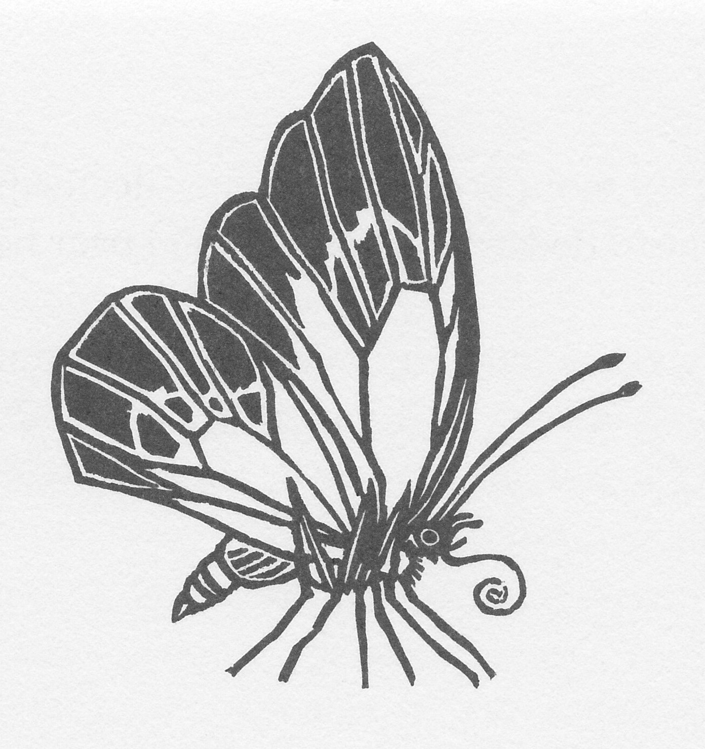 Vlinder-crop